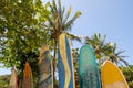 Ilha Grande: Surfboards at beach Praia Lopes Mendes, Rio de Janeiro state, Brazil