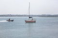 View of Aveiro river with private recreational boats with people sailing. Day with clouds and background with typical vegetation