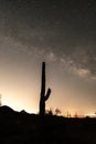 ilhouette of Saguaro cactus with Milky Way galaxy nightscape.