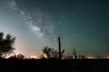 ilhouette of Saguaro cactus with Milky Way galaxy nightscape.