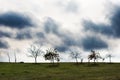 Ilhouettes of naked  trees in cloudy gloomy sky background in autumn time Royalty Free Stock Photo