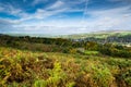 Ilkley moor, with Ilkley town in the distance Royalty Free Stock Photo
