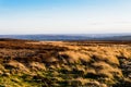 Ilkley moor with wind blown grass