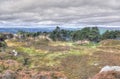 Ilkley Moor, Yorkshire, England, UK