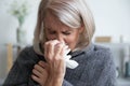 Ill mature woman covered with blanket blowing running nose sneeze Royalty Free Stock Photo