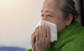 Ill mature woman covered with blanket blowing running nose sneeze in tissue suffer from allergy flu Royalty Free Stock Photo