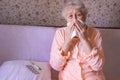 Ill mature woman covered with blanket blowing running nose sneeze in tissue suffer from flu Royalty Free Stock Photo