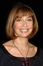Illeana Douglas Royalty Free Stock Photo
