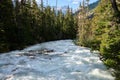 Illecillewaet River - full with snowmelt rushs downstream. Glacier National Park