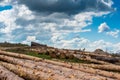Illegal cutted pine logs near a forest road with dramatic sky Royalty Free Stock Photo