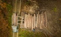 Illegal deforestation, people load tree trunks on a truck