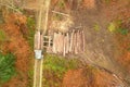 Illegal deforestation, people load tree trunks on a truck