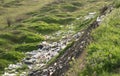 Illegal dump of garbage in the city park, plastic and other household waste. Dangerous pollution in nature