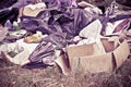 Illegal dumping with bottles, boxes and plastic bags Royalty Free Stock Photo
