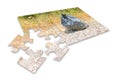 Illegal dumping in the nature - concept image in puzzle shape Royalty Free Stock Photo