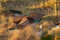 An illegal garbage dump in the nature at the side of Bakonykoppany Village in Hungary.