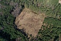 Illegal logging aerial view from a drone