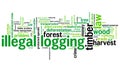 Illegal logging