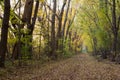 Illinois and Michigan Canal Trail in Autumn