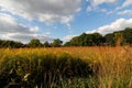 Illinois prairie