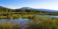 Illinois River in Medicine Bow-Routt National Forest in northern Colorado Royalty Free Stock Photo