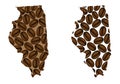 Illinois - map of coffee bean