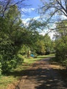 Illinois Woods in the Fall Royalty Free Stock Photo