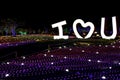 Illumia Light Illumination festival Korea Night I LOVE YOU Royalty Free Stock Photo