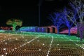 Illumia Light Illumination festival Korea Night Royalty Free Stock Photo