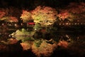 Illuminated autumn leaves and pond in Shuzenji
