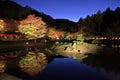 Illuminated autumn leaves and pond in Shuzenji