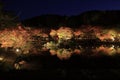 Illuminated autumn leaves and pond in Shuzenji