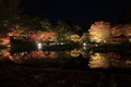 Illuminated autumn leaves and pond in Shuzenji
