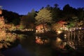 Illuminated autumn leaves and pond in Shuzenji