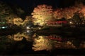 Illuminated autumn leaves and pond in Shuzenji