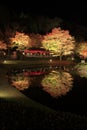 Illuminated autumn leaves and pond in Shuzenji