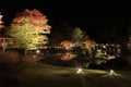 Illuminated autumn leaves and pond in Shuzenji