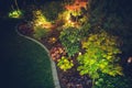 Illuminated Backyard Garden