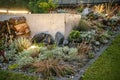 Illuminated Backyard Rockery Garden