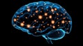 Illuminated Brain Network Showing Neural Connections