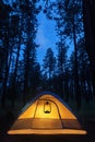 Illuminated Camping Tent Under Stars
