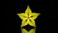 Illuminated carambola slice showcasing intricate patterns against stark darkness Royalty Free Stock Photo