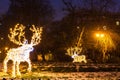 Illuminated Christmas decorations in Cismigiu park during winter, downtown Bucharest, Romania