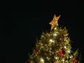 a christmas tree lit up at night with many decorations and a star on the top Royalty Free Stock Photo