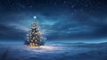 The illuminated Christmas tree in a winter landscape at blue hour Royalty Free Stock Photo