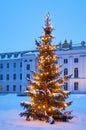 illuminated chrsitmas tree with in city twilight