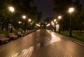 Illuminated city park at summer night. background, city life. Royalty Free Stock Photo