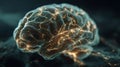 Illuminated digital representation of a human brain cortex showing active neural network connections and complex thought processes Royalty Free Stock Photo