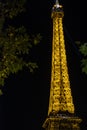 Illuminated Eiffel Tower by night behind the trees