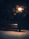 An Illuminated Empty Bench in a Serene Park Setting at Night, evoking calmness and tranquility Royalty Free Stock Photo